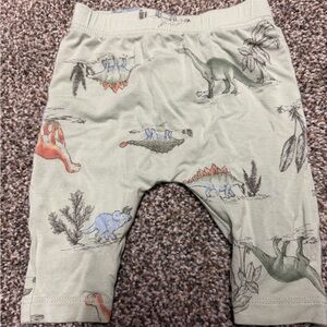 Dinosaur Print Baby Pants